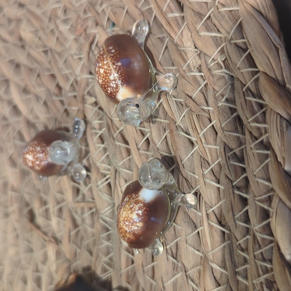 Shell Turtle Family - Picture 3 of 3